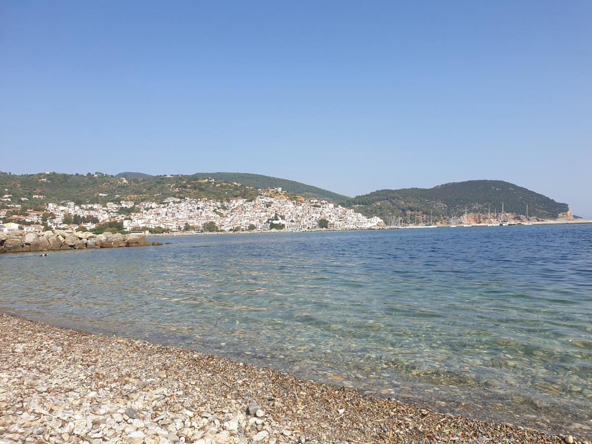 Apartment Lovely One-bedroom Flat In Skopelos Town